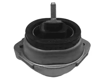 22116770794 Right Engine Mount Assembly / Right Motor Mount for BMW X5 E53 1999-2006 M54