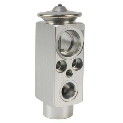 A4638306601 A/C Expansion Valve for Benz G-Class W463 1990-2018 M112